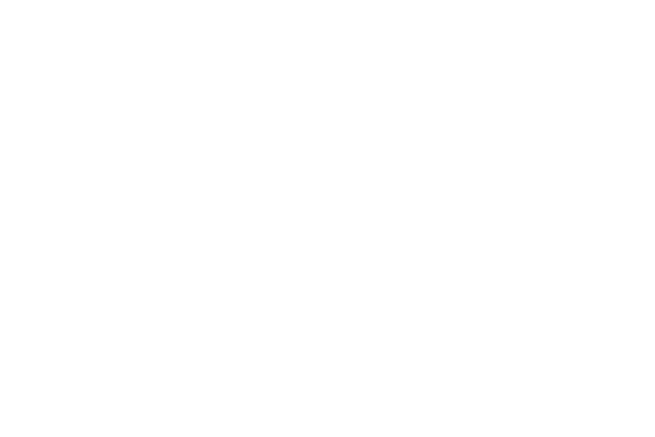 logo_huski